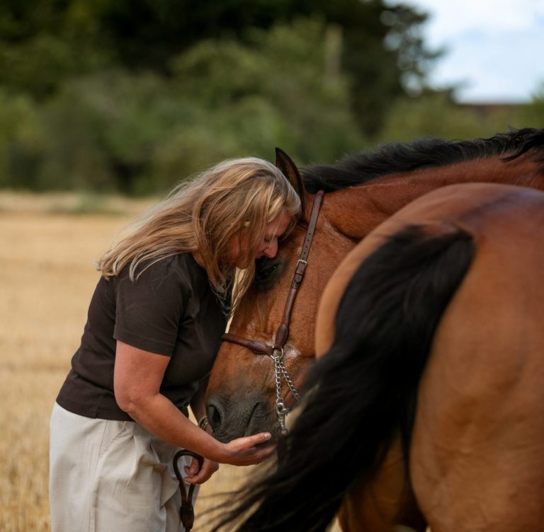 Écoute animale Lille, Nord Pas de Calais