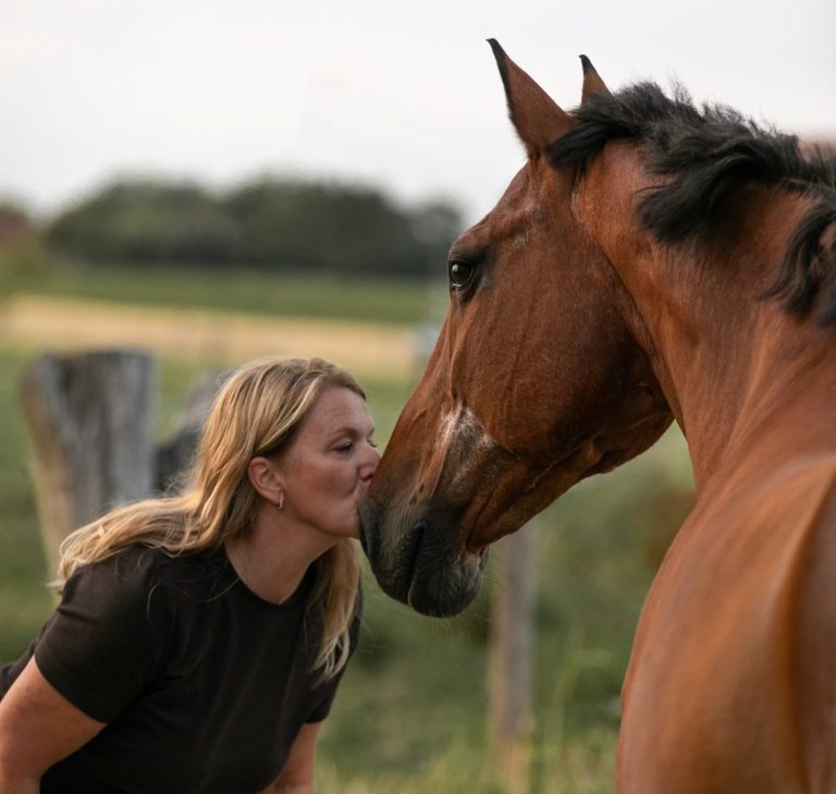 communication avec les animaux sur Lille et dans le Nord Pas-de-calais
